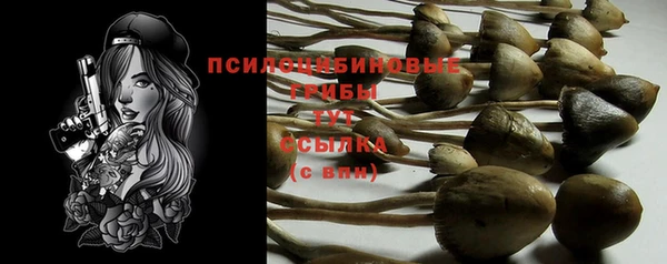 mdma Козельск