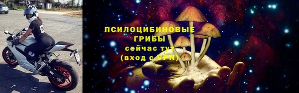 МДПВ Козловка
