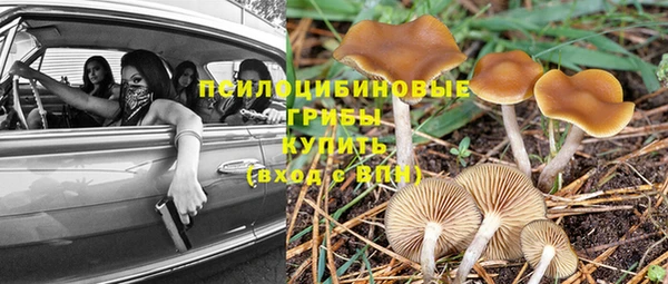 прущий лед Костерёво