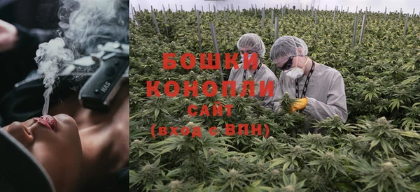 стафф Коряжма