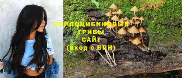 mdma Козельск