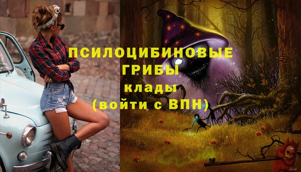 мескалин Киреевск